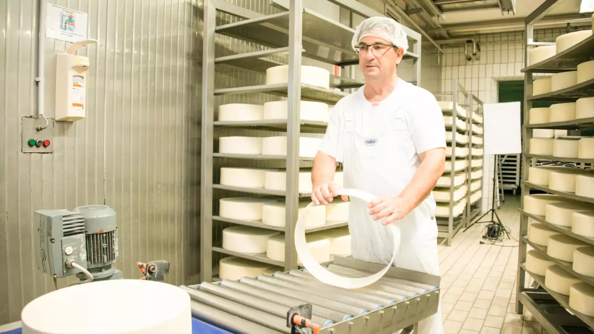 Coagulazione del latte per la produzione del formaggio Coagulazione del latte per la produzione del formaggio